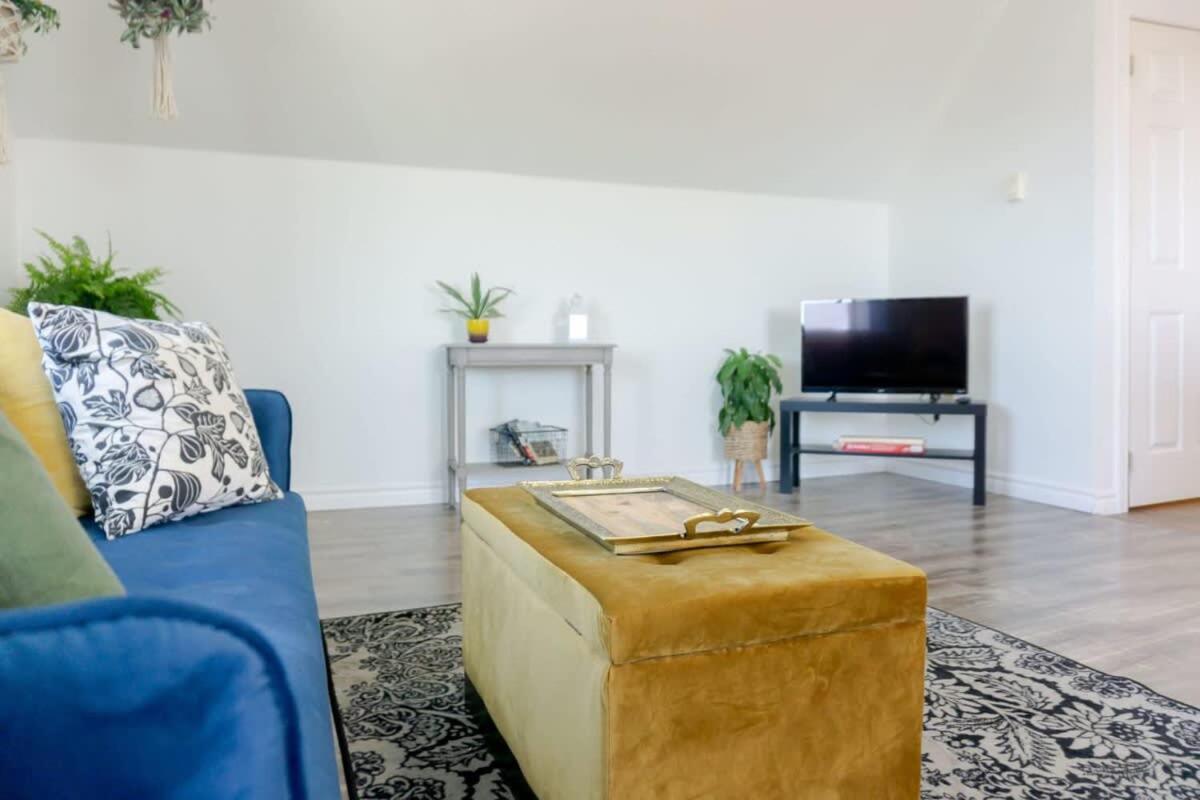 Amazing Location In Saint John 2 Bedroom Modern Parking New Exterior foto